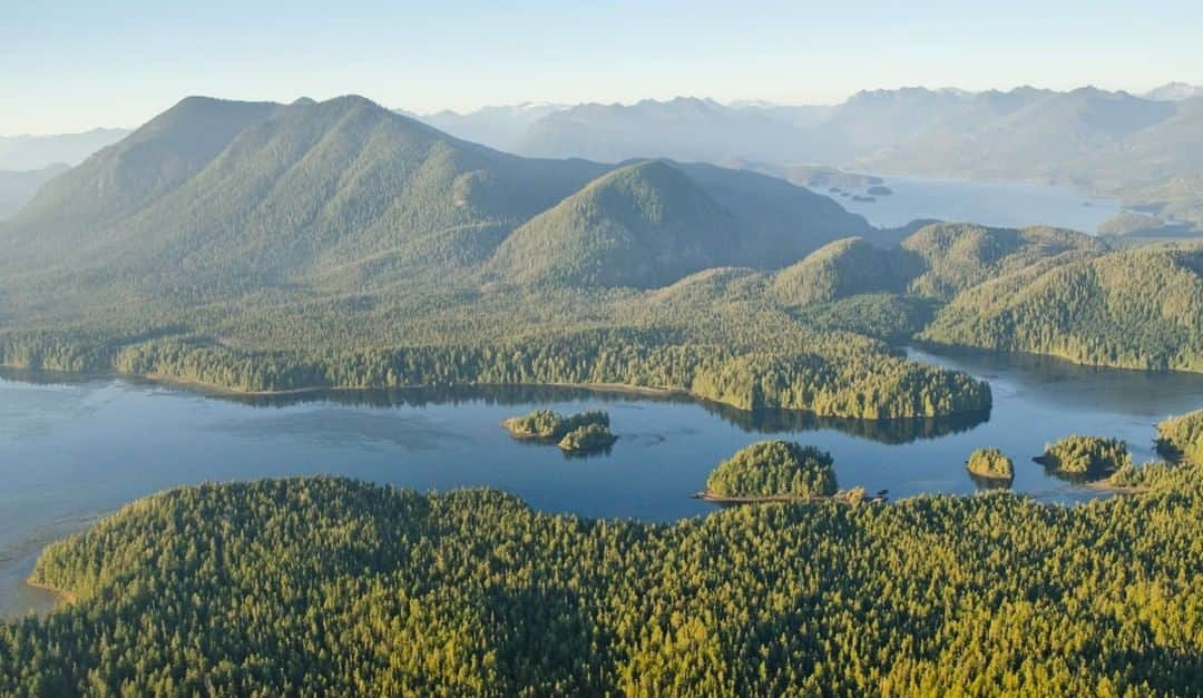 National Geographic Travelさんのインスタグラム写真 - (National Geographic TravelInstagram)「Photo by @bertiegregory | The west coast of Vancouver Island is home to an incredible ecosystem consisting of rainforest covered mountains that drop all the way down to a wave-battered shoreline. Sadly, much of this coast’s old growth rainforest has been lost to logging. We must protect the forest that’s left, not only because it’s beautiful and a home to countless creatures, but because like all forests, it gives us so many things that we take for granted like the fresh air we breathe. #britishcolumbia #photography #wildlife #coast」7月1日 10時00分 - natgeotravel