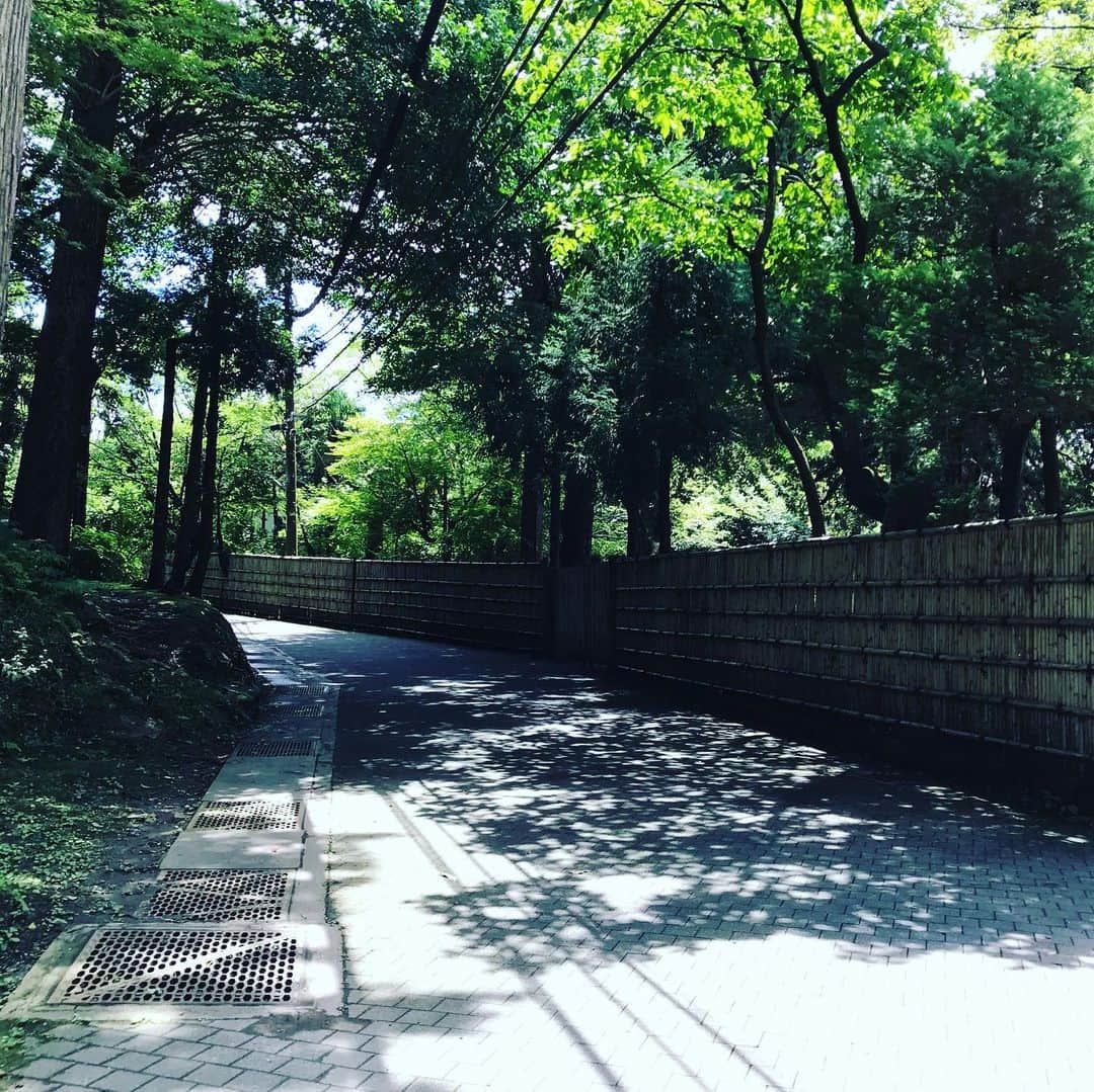 ココハウスのインスタグラム：「☆ 北鎌倉らしさ  駅からすぐで 森林浴できます  #浄智寺 方面 #ブラココ」