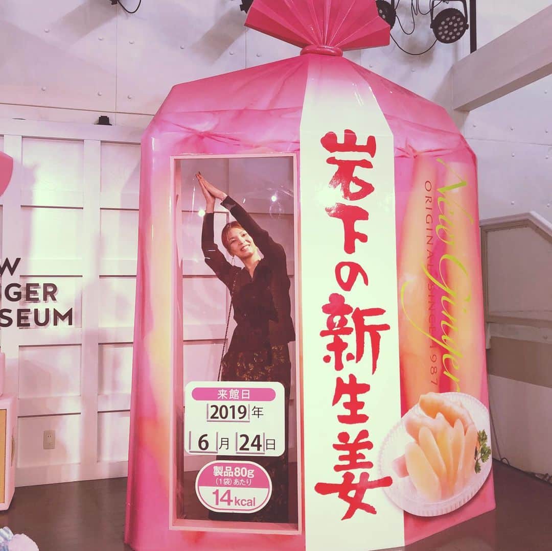 dorlisのインスタグラム：「栃木市の映えスポット #dorlis #栃木 #岩下の新生姜 #岩下の新生姜ミュージアム  #入館無料 #イビツな世界 #ピンクの世界 #楽しかった #2週した #インスタ映え」