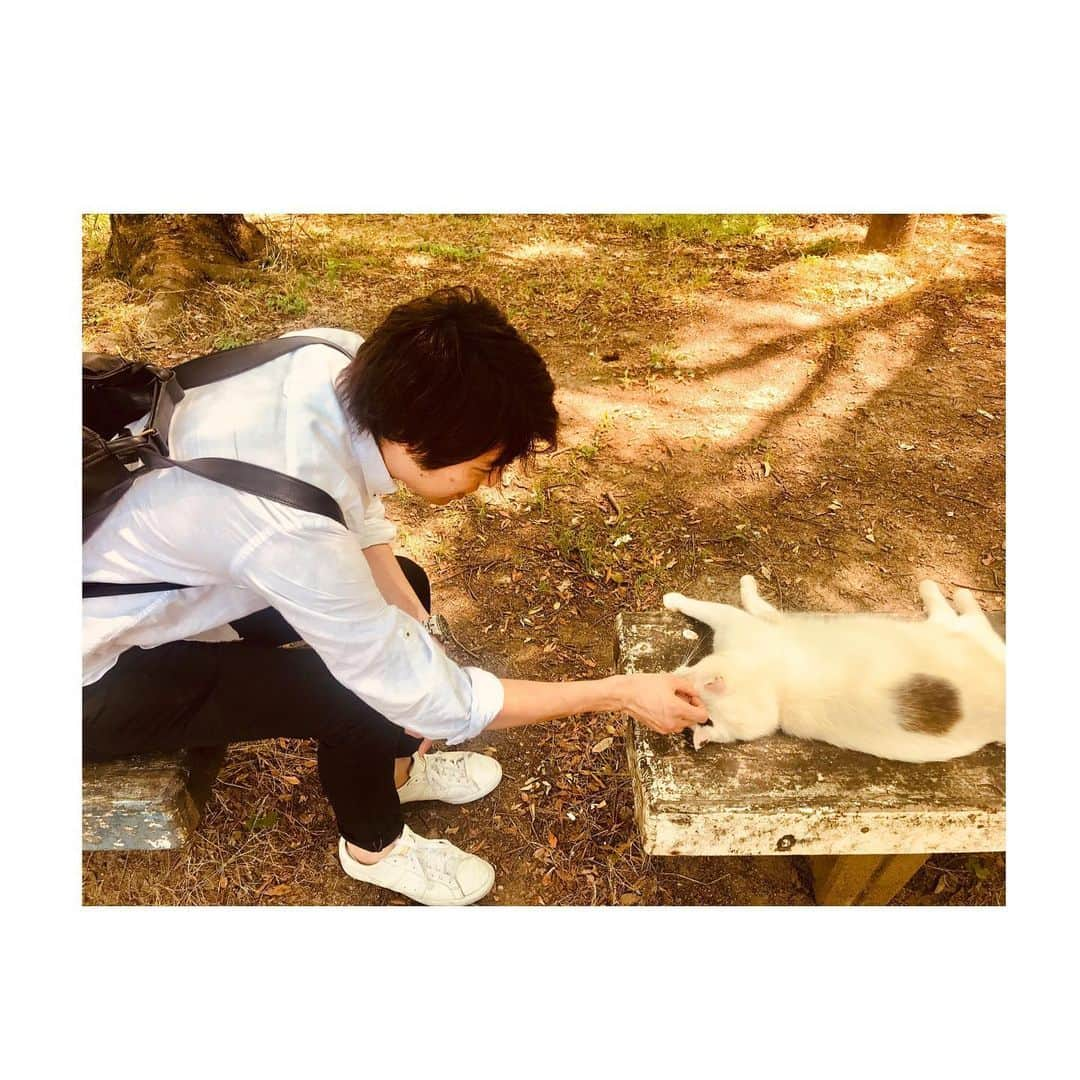 上山竜治さんのインスタグラム写真 - (上山竜治Instagram)「海宝君、野良猫に夢中の巻。  猫が大好きなのに、大の猫アレルギーな彼。 この後ずっーとくしゃみが出つづけてました。  ジーニーに止めてもらって。  #海宝直人 #アラジン #公園」7月1日 21時34分 - kamiyama_ryuji_0910