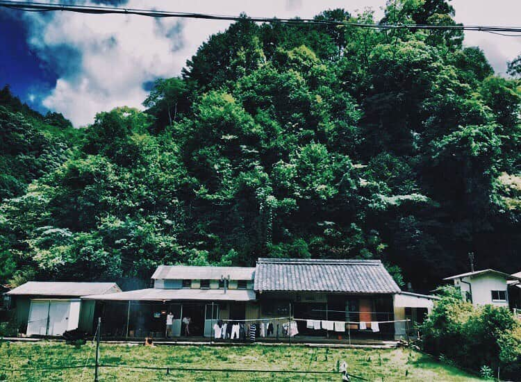 クレヨンだいちゃんのインスタグラム：「🌳🌳🌳 ㅤㅤㅤㅤㅤㅤㅤㅤㅤㅤㅤㅤㅤ ㅤㅤㅤㅤㅤㅤㅤㅤㅤㅤㅤㅤㅤ 今年の夏はおじいちゃん家に 絶対行きたいなぁ🕷🕷 ㅤㅤㅤㅤㅤㅤㅤㅤㅤㅤㅤㅤㅤ 嫁さんとか友達とかみんな連れて 遊びに行きたい🐟🍺 ㅤㅤㅤㅤㅤㅤㅤㅤㅤㅤㅤㅤㅤ ㅤㅤㅤㅤㅤㅤㅤㅤㅤㅤㅤㅤㅤ #田舎  #おじいちゃん家 #ロケット花火したい #トトロの森  #ジブリの世界 #山がメインの家 #クーラーのない生活したい #BBQしてる時にカブトムシおるやんっていうセリフを今年は言いたい ㅤㅤㅤㅤㅤㅤㅤㅤㅤㅤㅤㅤㅤ ㅤㅤㅤㅤㅤㅤㅤㅤㅤㅤㅤㅤㅤ」