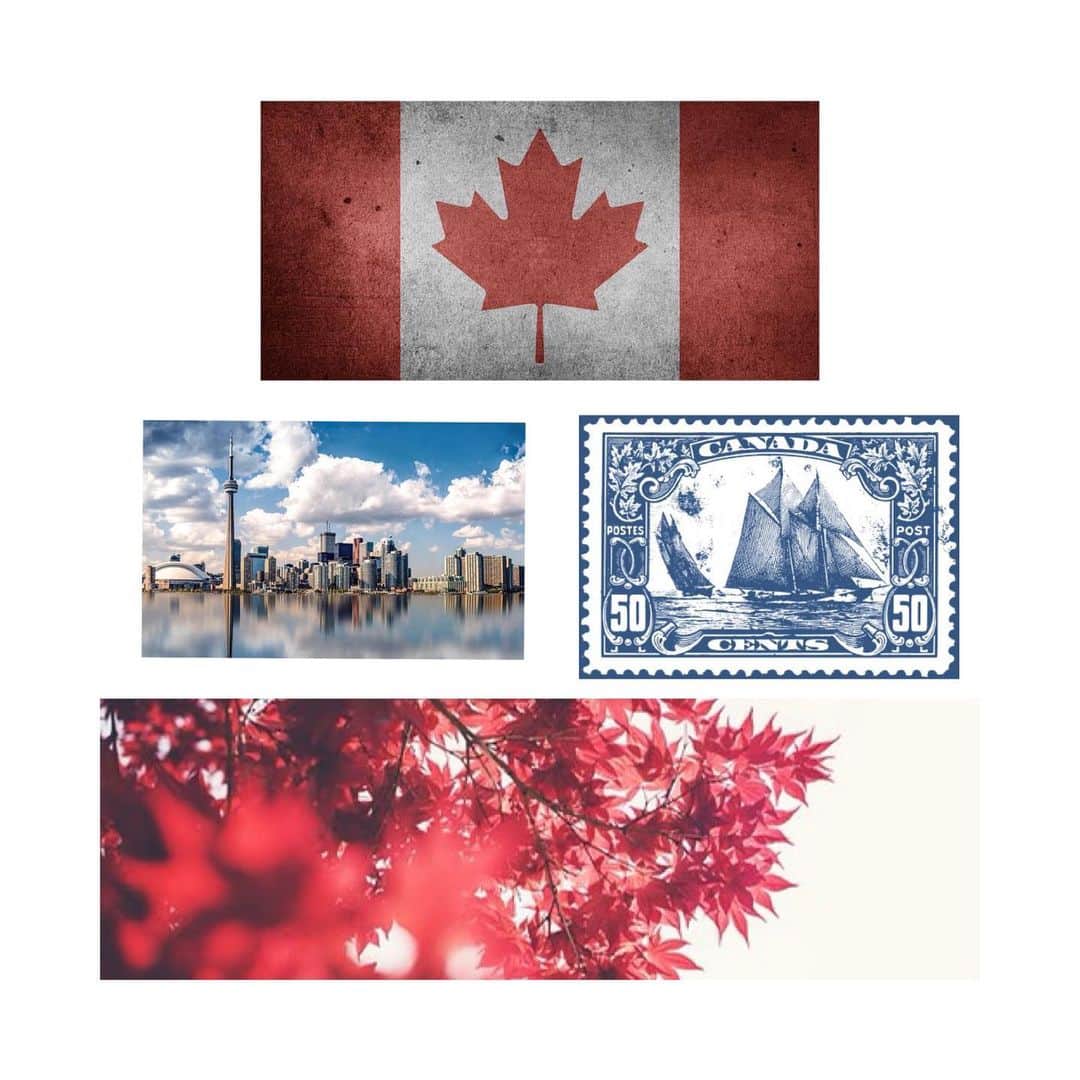 ラミン・カリムルーさんのインスタグラム写真 - (ラミン・カリムルーInstagram)「Happy Canada Day #canada #canadian #wethenorth #iam ❤️ Thank you to all the folks in our public services who contribute to making this country incredible.」7月1日 14時56分 - raminkarimloo