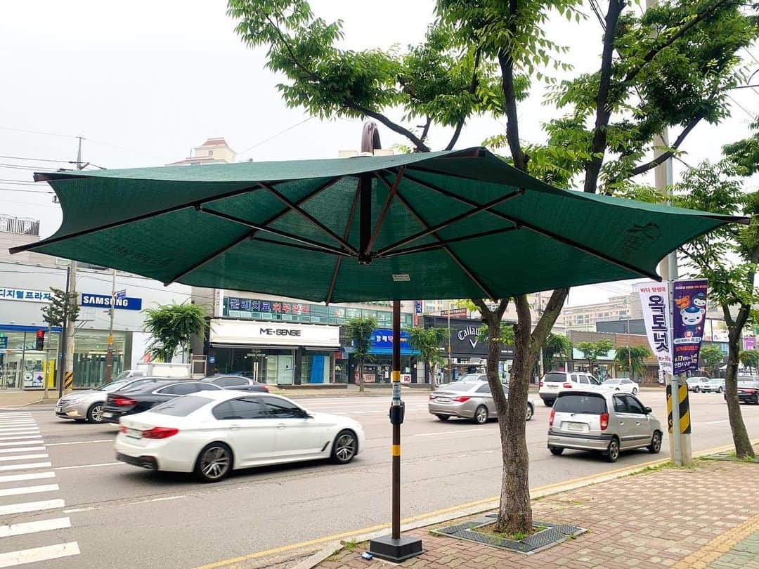 浜平恭子さんのインスタグラム写真 - (浜平恭子Instagram)「‪韓国では、横断歩道の脇にこんな巨大傘を時々見掛けます(๑′ᴗ‵๑) 夏前になると登場するのですが、信号待ちの時に陽射しを避けるためにここに入るんです🌞 ちょっとした雨の時も助かる〜☔️ この下に人がたくさんいらっしゃる時もありますが、昨日は独り占めでしたん（笑）‬ ‪#日韓往復 #ラジオDJ #浜平恭子 #KissFMKOBE #한일커플 #한일부부 #한일왕복 #라디오DJ #하마히라쿄코 #韓国生活 #仁川」7月1日 15時15分 - hamahi1231