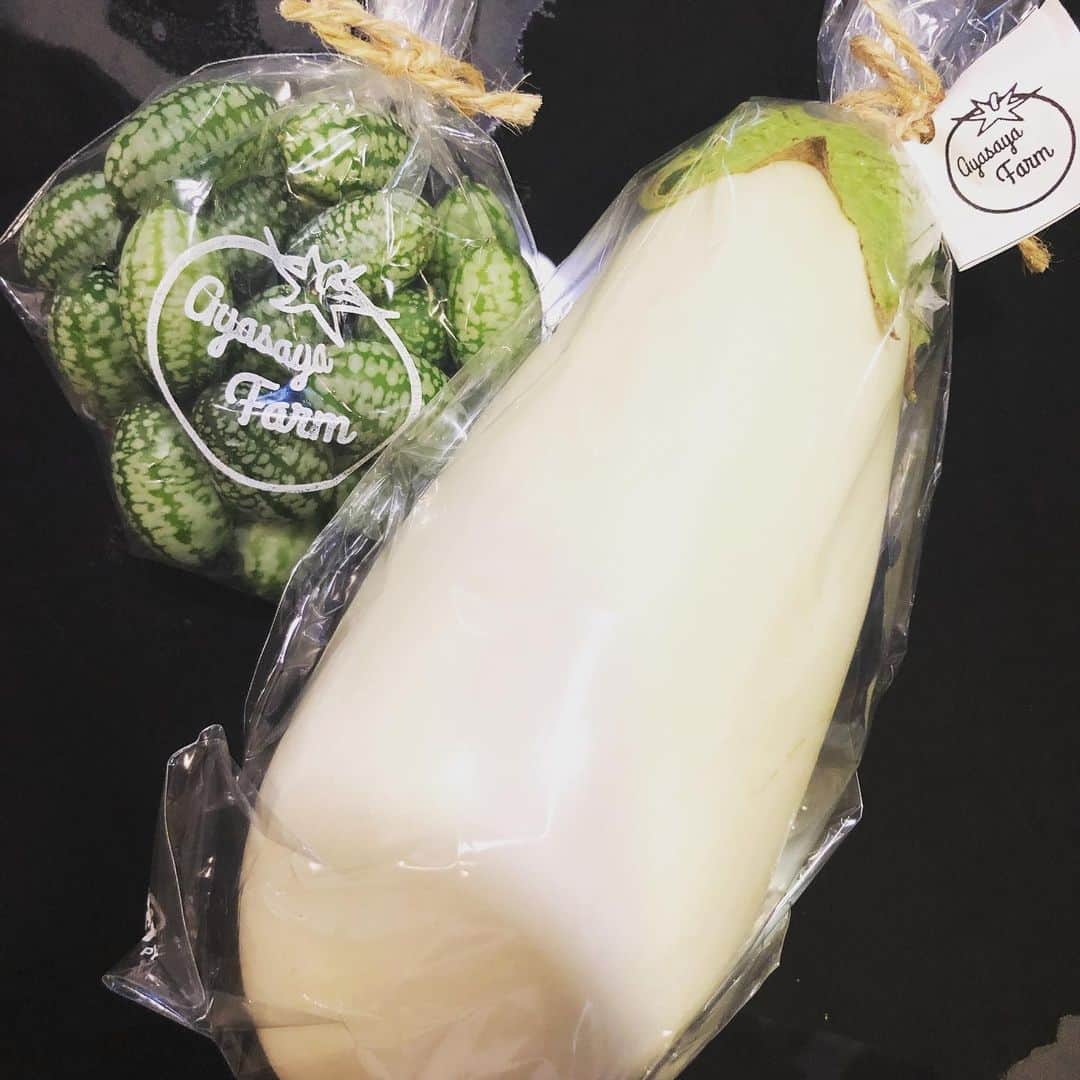 本田みずほさんのインスタグラム写真 - (本田みずほInstagram)「昨日差し入れでいただいた お野菜💖 ママンが育てたお野菜なんですってー💖 野菜不足な私としてはめちゃくちゃ嬉しい💖 ありがとうございます💖 愛情たっぷりの白ナスちゃんと メロンきゅうりちゃん 白ナスちゃんはバラ肉を巻いて焼きました！ メロンきゅうりちゃんは実は初めて食べるの！ そのまま食べてみたら、アイスプラントのようになんとも言えない美味しい味があるのと歯ごたえもいいんでサラダに💖 残りは浅漬けにしようと思ったけど、料理しながらポリポリ食べちゃった🤣😅☺️ メロンきゅうりちゃん恐竜のたまごみたいで可愛い💖 久々に自炊してお腹いっぱい💖 小松菜とお豆腐のお味噌汁にしたんだけど、おかわりしちゃったぐらいモグモグしちゃった☺️ 美味しかった！ ごちそうさまでした！」7月1日 15時26分 - mizuhonda0422