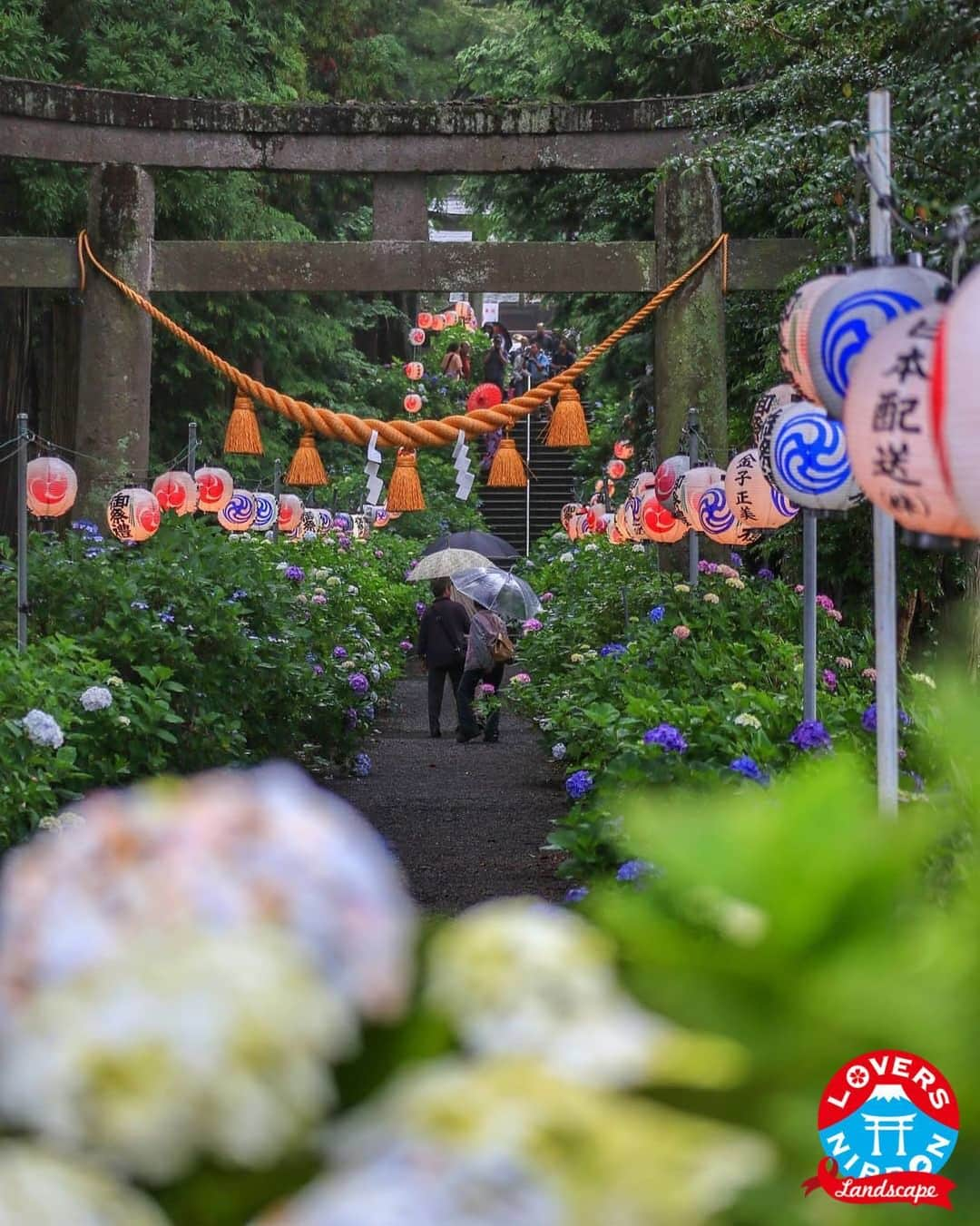 Only Japanese photographsさんのインスタグラム写真 - (Only Japanese photographsInstagram)「🇯🇵Today's best photo of Japan🇯🇵 Featured Artist : 🏆 @hiro_ig410 🏆 Featured tag : #Lovers_Nippon Location :  栃木県 (Tochigi , Japan) Photo selected : @criss1016 ￣￣￣￣￣￣￣￣￣￣￣￣￣￣￣￣￣￣￣￣ 『お願い』  都道府県のみでも結構ですので必ず国内の撮影場所を明記ください。 風景【 #Lovers_Nippon 】 ポートレート【 #Lovers_Nippon_Portrait 】 アート【 #Lovers_Nippon_Artistic 】 ￣￣￣￣￣￣￣￣￣￣￣￣￣￣￣￣￣￣￣￣」7月1日 15時31分 - lovers_nippon