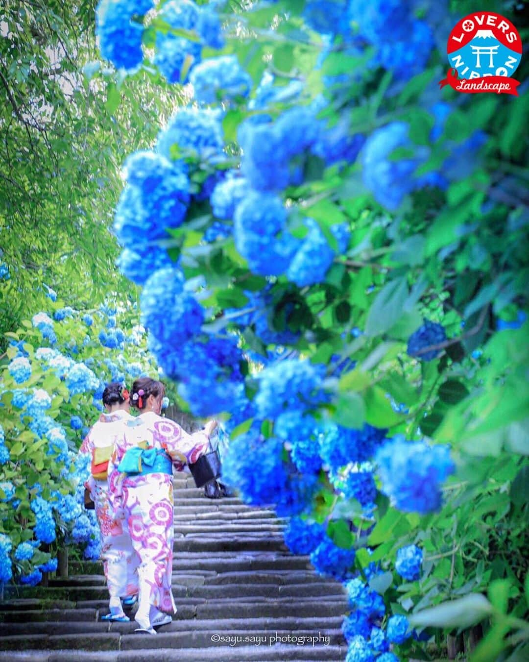 Only Japanese photographsさんのインスタグラム写真 - (Only Japanese photographsInstagram)「🇯🇵Today's best photo of Japan🇯🇵 Featured Artist : 🏆 @sayu.sayu 🏆 Featured tag : #Lovers_Nippon_Portrait Location :  神奈川県 (Kanagawa , Japan) Photo selected : @criss1016 ￣￣￣￣￣￣￣￣￣￣￣￣￣￣￣￣￣￣￣￣ 『お願い』  都道府県のみでも結構ですので必ず国内の撮影場所を明記ください。 風景【 #Lovers_Nippon 】 ポートレート【 #Lovers_Nippon_Portrait 】 アート【 #Lovers_Nippon_Artistic 】 ￣￣￣￣￣￣￣￣￣￣￣￣￣￣￣￣￣￣￣￣」7月1日 15時32分 - lovers_nippon