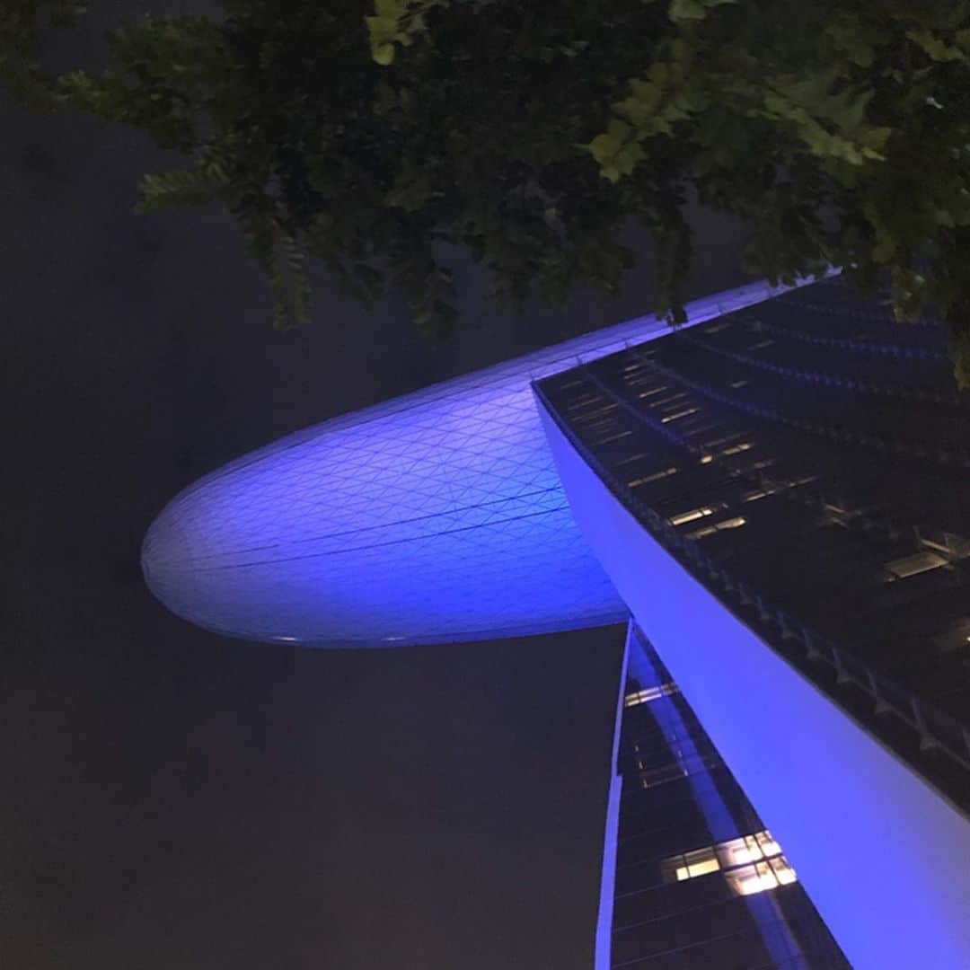 岡田育さんのインスタグラム写真 - (岡田育Instagram)「Singapore Nights.  #singapore #boatquaysingapore #riverside #rivercruise #quay #singapore🇸🇬 #marinabaysands #シンガポール #ボートキー #マリーナベイサンズ #アジア文明博物館 #asiancivilisationsmuseum #mbs」7月1日 16時07分 - okadaic