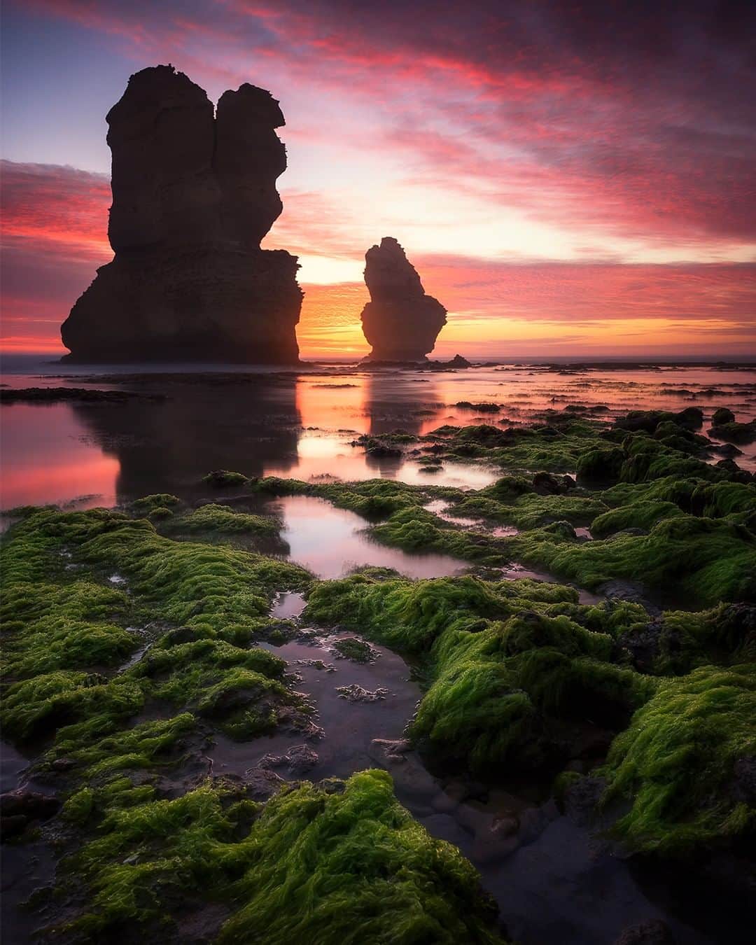 Nikon Australiaさんのインスタグラム写真 - (Nikon AustraliaInstagram)「Join @iso100_photography and @joshbeames this weekend for a coastal landscapes photography workshop, covering everything from composing your shot to post production, set on the spectacular Great Ocean Road.  Visit the link in our bio for more information.  Image by @iso100_photography Camera: #D810 Lens: AF-S NIKKOR 14-24mm f/2.8G ED」7月1日 16時11分 - nikonaustralia