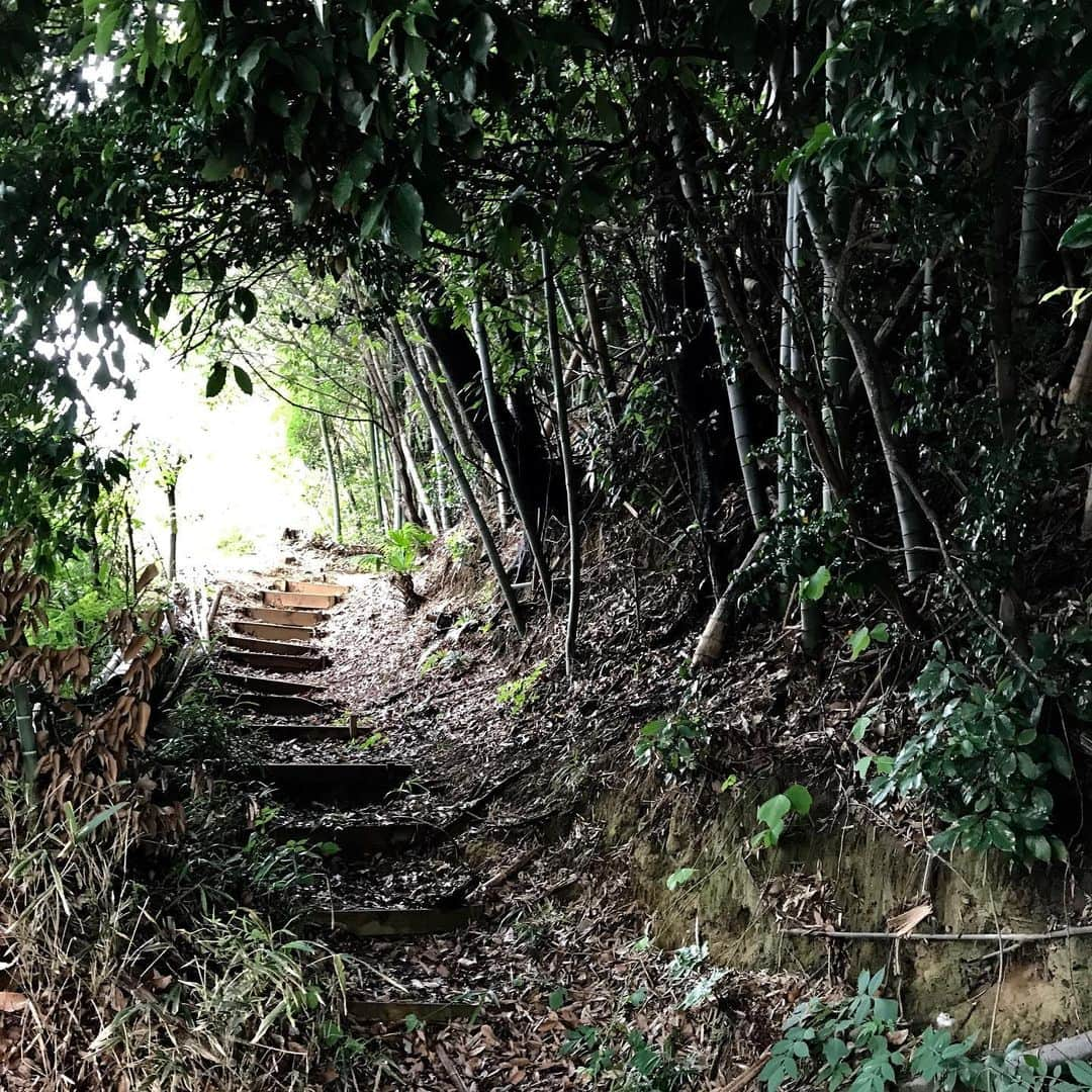 中島はるみのインスタグラム