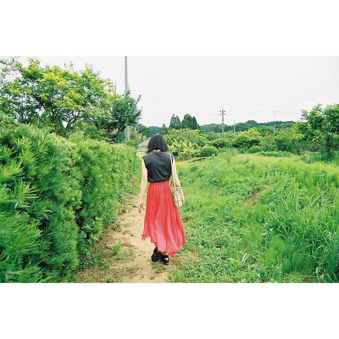 長尾寧音さんのインスタグラム写真 - (長尾寧音Instagram)「7月ですね✩﻿ ﻿ 早く天気がいい日が増えるといいなっ☺️﻿ ﻿ ﻿ ﻿ ﻿#film」7月1日 17時13分 - nagaoshizune_official