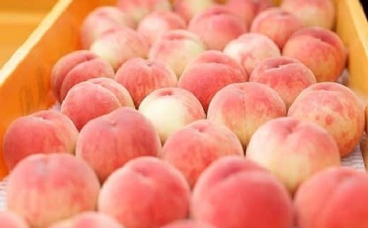 福岡超新鮮野菜/フレラボ薬院店のインスタグラム：「🎁農家最高かよキャンペーン🎁  毎週やっていきますのでお見逃しなく🎃  記念すべき第一回は 福岡県産　桃x4玉を 抽選で5名の方に🤗  応募は 1. agries twitterアカウトフォロー  2.毎週のプレゼント投稿に #agries #vegemedia #農家最高かよ のコメントをつけてリツイート  応募期間2019.7/1~7/5 結果発表2019.7/7」