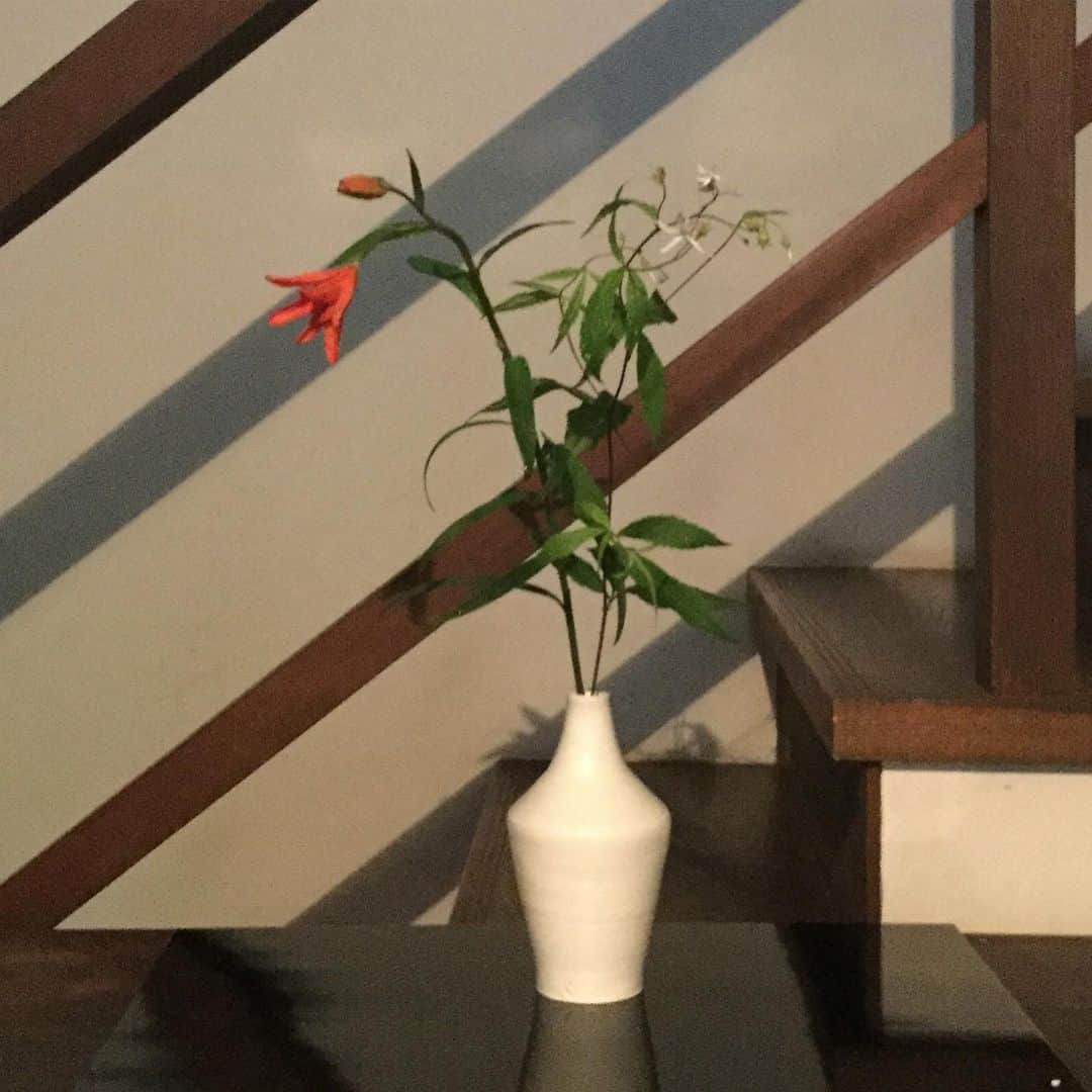 ヒロミチナカノさんのインスタグラム写真 - (ヒロミチナカノInstagram)「黒田泰蔵の白磁の花器に乙女百合と...❓(ごめんなさい、名前？)入れました。 #flowers ＃flowerinstagram  #taizokuroda」7月1日 18時21分 - hiromichinakano_official