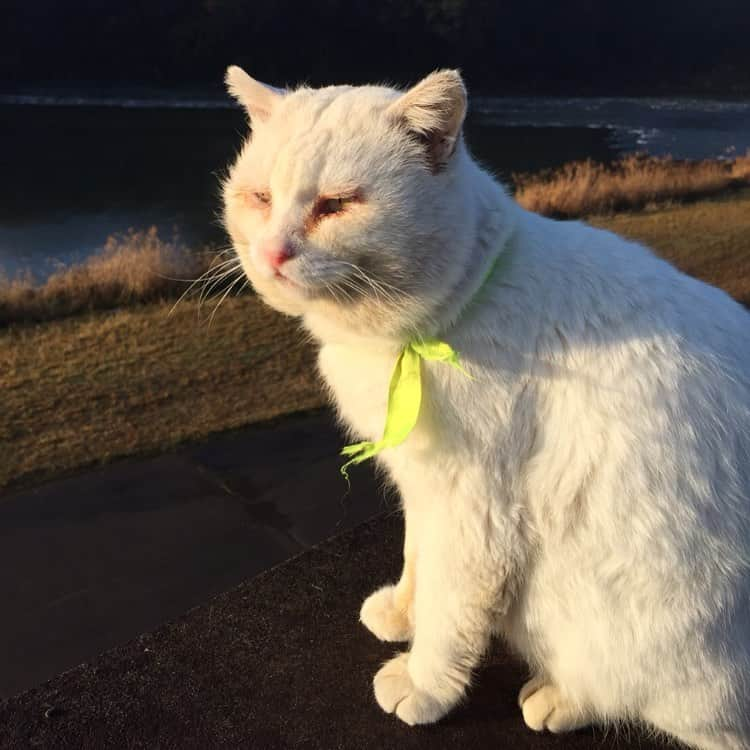 下野佐和子のインスタグラム