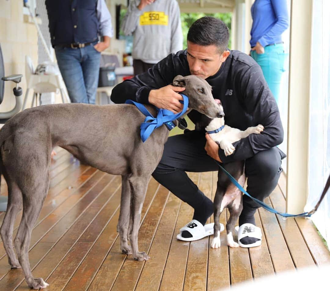 ティム・ケーヒルさんのインスタグラム写真 - (ティム・ケーヒルInstagram)「LUMO arrives to my farm and gets to meet her little bro BOYBOY 🐕 @gapnsw」7月1日 19時02分 - tim_cahill