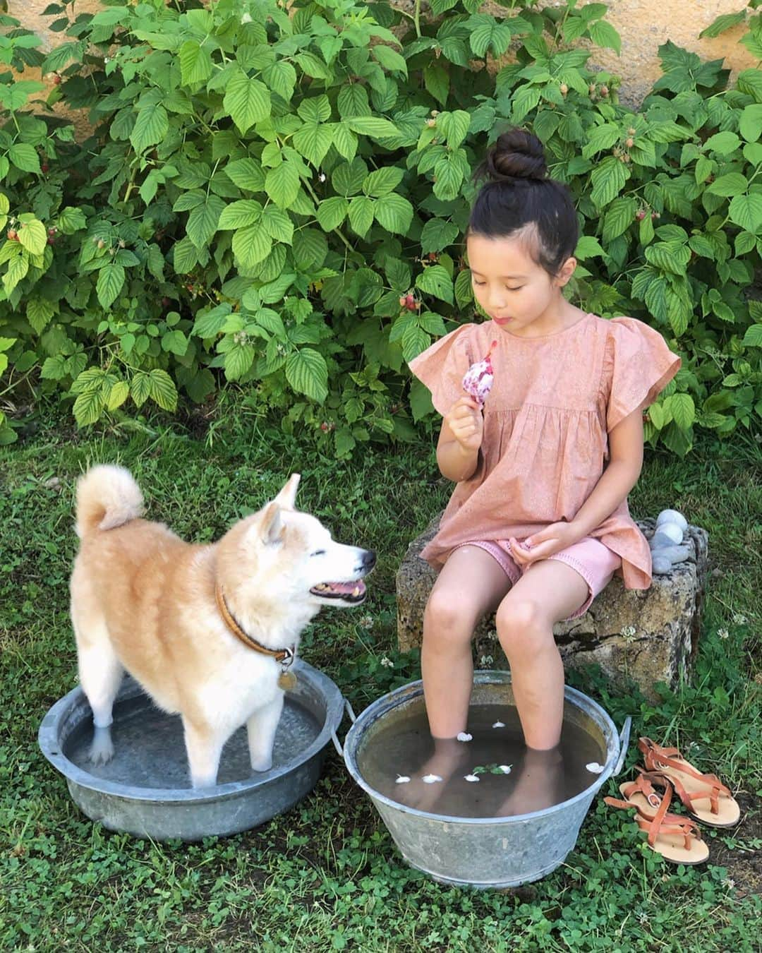 フィロとポンポンさんのインスタグラム写真 - (フィロとポンポンInstagram)「Philo: on est bien mon Pompon! Pompon: Une vie d’amour et d’eau fraîche... #nilshappytoseeyou #petitbec #lmdicollection」7月1日 19時05分 - philo_pompon