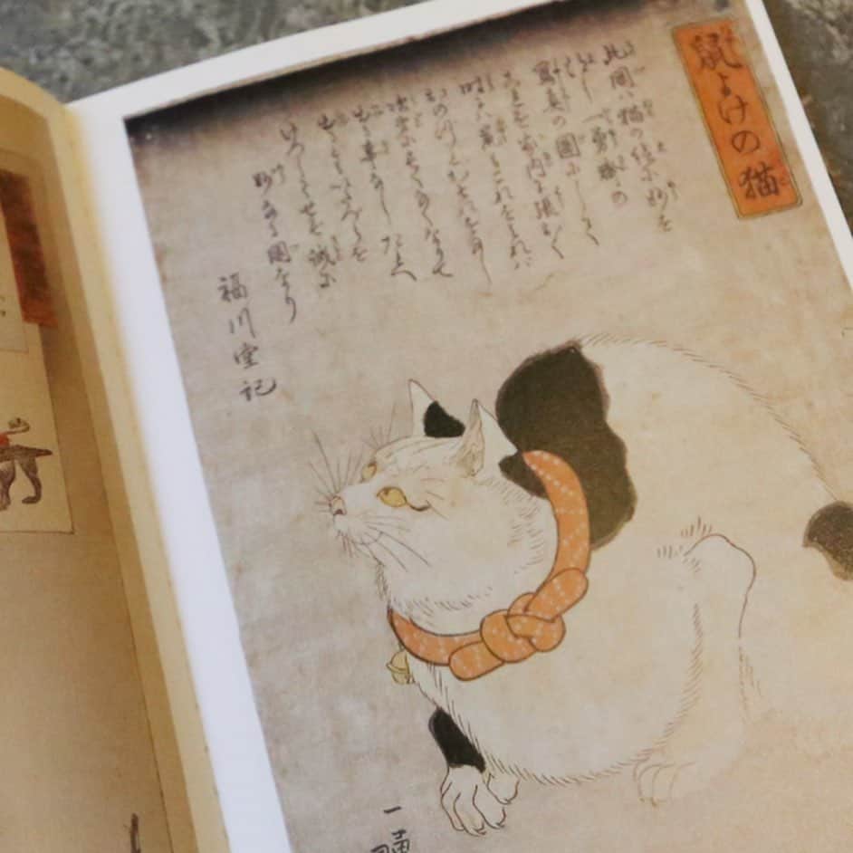 nostos booksさんのインスタグラム写真 - (nostos booksInstagram)「猫への愛は江戸時代から変わらないようです。猫を描いた浮世絵を集めた展示会『にゃんとも猫だらけ』の図録を見ると、現代にも負けないかわいがりぶりが伝わってきます。﻿ ﻿ 歌川国芳など、現代も名が知られる浮世絵師たちが描いた猫たち。美人画の中でペットとして愛される様子や、擬人化して人間のように生活する猫、一文字ならぬ猫文字などアイデア満載。﻿ ﻿ これを見るとますます猫への愛が深まるかも！？﻿ ﻿ ﻿ 『にゃんとも猫だらけ』展図録は店頭のみの取り扱いになります。店舗取り置きもできますので、気になる方はお気軽にお問い合わせください。 ﻿ #にゃんとも猫だらけ #歌川国芳 #歌川広重  #nostosbooks #ノストスブックス #松陰神社前 #松陰神社前駅 #松陰神社商店街 #世田谷線#古本 #古本屋 #古書店 #東京古書店 #古本屋巡り #アート本 ＃アートブック #デザイン本﻿ #ブックデザイン」7月1日 19時11分 - nostosbooks