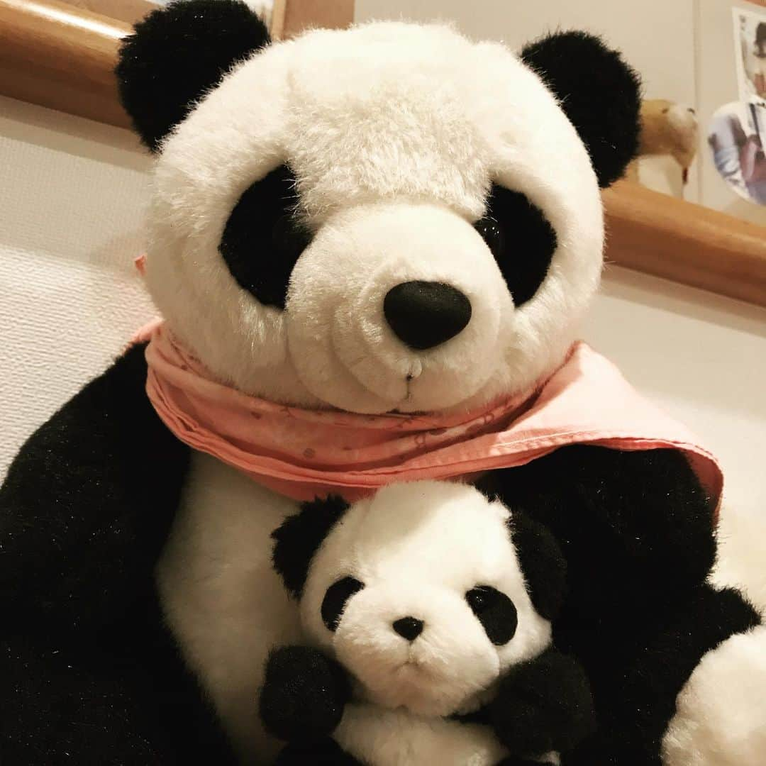 日暮愛葉さんのインスタグラム写真 - (日暮愛葉Instagram)「癒し  #stuffedanimal #stuffedanimals #ぬいぐるまー #ぬいぐるみ  #パンダ #パン子ちゃん #パンちゃん #panda」7月1日 19時21分 - aiha_higurashi