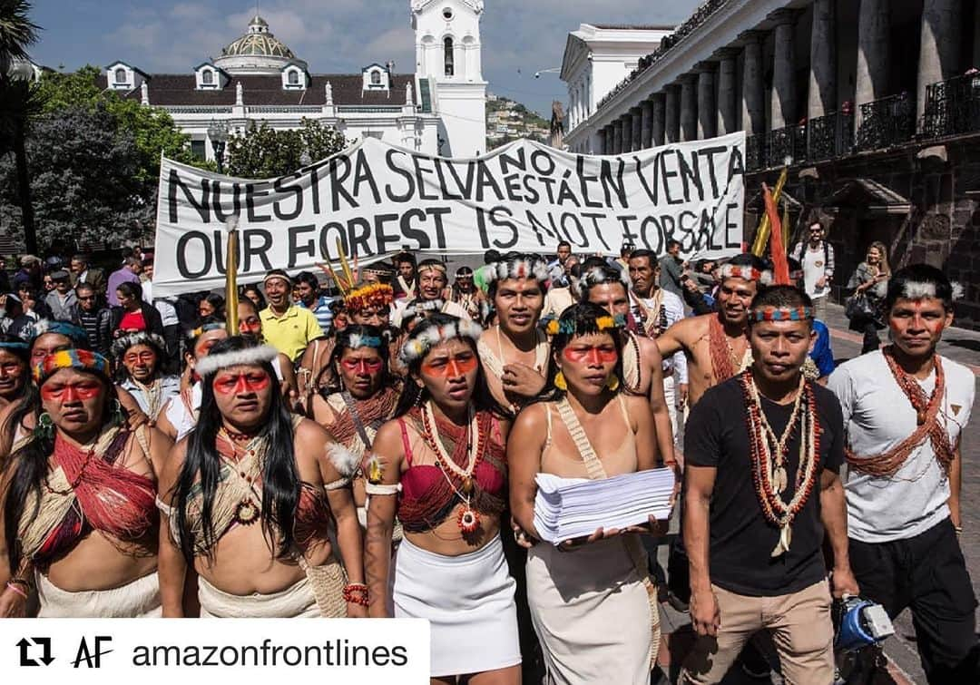 ミッキー・サムナーさんのインスタグラム写真 - (ミッキー・サムナーInstagram)「@amazonfrontlines ・・・ Tomorrow the Waorani people will face off with the Ecuadorian government in court yet again, in order to defend half a million acres of their ancestral rainforest territory from oil drilling! They are calling on YOU to join their struggle: we can’t solve our climate crisis without protecting the Amazon rainforest & keeping the oil in the ground!  Take action, show your support with a selfie as part of the Waorani's digital campaign #WaoraniResistance & sign their letter to show the government & court that the world is watching!: (link in profile)  #amazon #ecuador #climatechange #forests #rainforest #indigenous #IndigenousRights」7月1日 20時13分 - sumnermickey