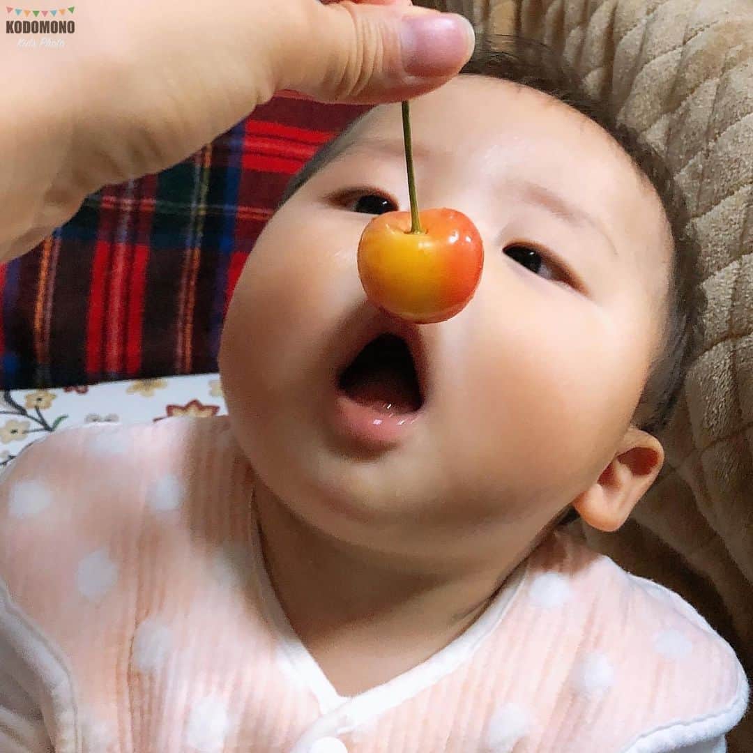 コドモノ！写真部さんのインスタグラム写真 - (コドモノ！写真部Instagram)「🕊💕 今回ご紹介するのは @inaoka_546 さんの投稿です。 . 鼻先のサクランボが食べたい🍒 . @inaoka_546 さん「#コドモノ」のハッシュタグ付けありがとうございました。 . お子様のカワイイ姿、面白い瞬間、なんとも言えない表情などなど毎日募集中！@kodomono_photoをフォローの上、#コドモノ をつけて投稿してください💕 素敵な写真や動画はコドモノ！写真部がフィーチャーさせていただきます。 . 🍼画像や動画は投稿者様に許諾を得てコドモノ！写真部に掲載しています。ご本人以外の無断転載はお控えください。 . ▼▽▼投稿毎日募集中▼▽▼ . #サクランボ #赤ちゃん #生後6ヶ月 #生後半年 #男の子ベビー #babyboy #赤ちゃんのいる生活 #赤ちゃんのいる暮らし #育児 #子育て #成長記録 #かわいい #ピエロ」7月1日 20時09分 - kodomono_photo