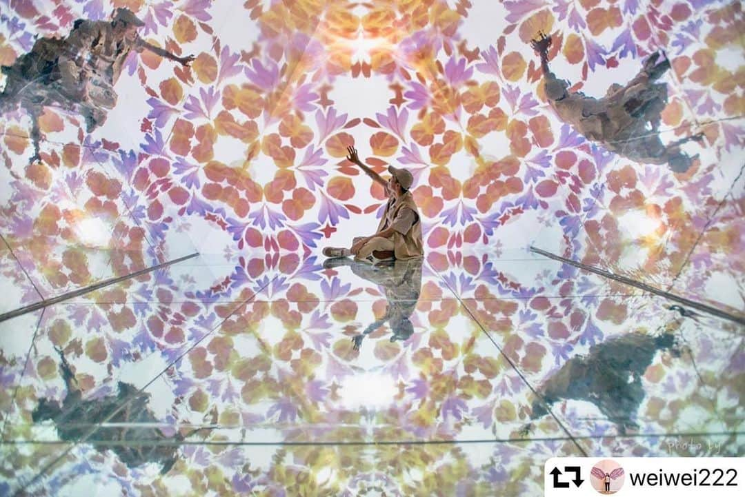 planticaさんのインスタグラム写真 - (planticaInstagram)「Great shot 💫🏵✨ @weiwei222 ﻿ ﻿ —迷幻世界—﻿ 幻·彩·影 萬花筒特展﻿ 展期：6/29-9/22﻿ 地點：華山藝文中心﻿ ﻿ #萬花筒特展 #木村貴史#幻彩影萬花筒特展#plantica在華山 #plantica #プランティカ」7月1日 20時11分 - plantica_jp