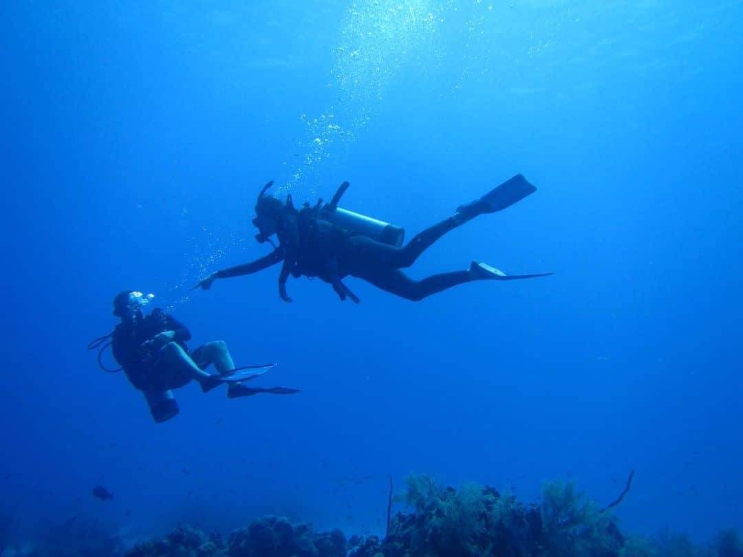 カミ・モローネさんのインスタグラム写真 - (カミ・モローネInstagram)「Your girl is a first time diver 🐬🐟🐳✌🏻」7月2日 7時08分 - camilamorrone