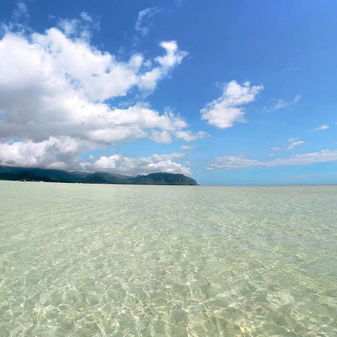 Luxury Cruise by Captain Bruceさんのインスタグラム写真 - (Luxury Cruise by Captain BruceInstagram)「この日のツアーは朝は晴天！⁠ 🐠🌴🐠シュノーケル中雨が降ったりしましたが、カメさんやお魚がたくさん遊んでいて、皆様喜ばれていました^^⁠ ⁠ ⁠ #captainbruce #sandbar #kaneohe #hawaii #oahu #oahulife #ahuolaka #koolau #キャプテンブルース #天国の海ツアー #天国の海 #アフオラカ #ハワイ大好き #絶景 #海と空」7月2日 7時00分 - cptbruce_hi