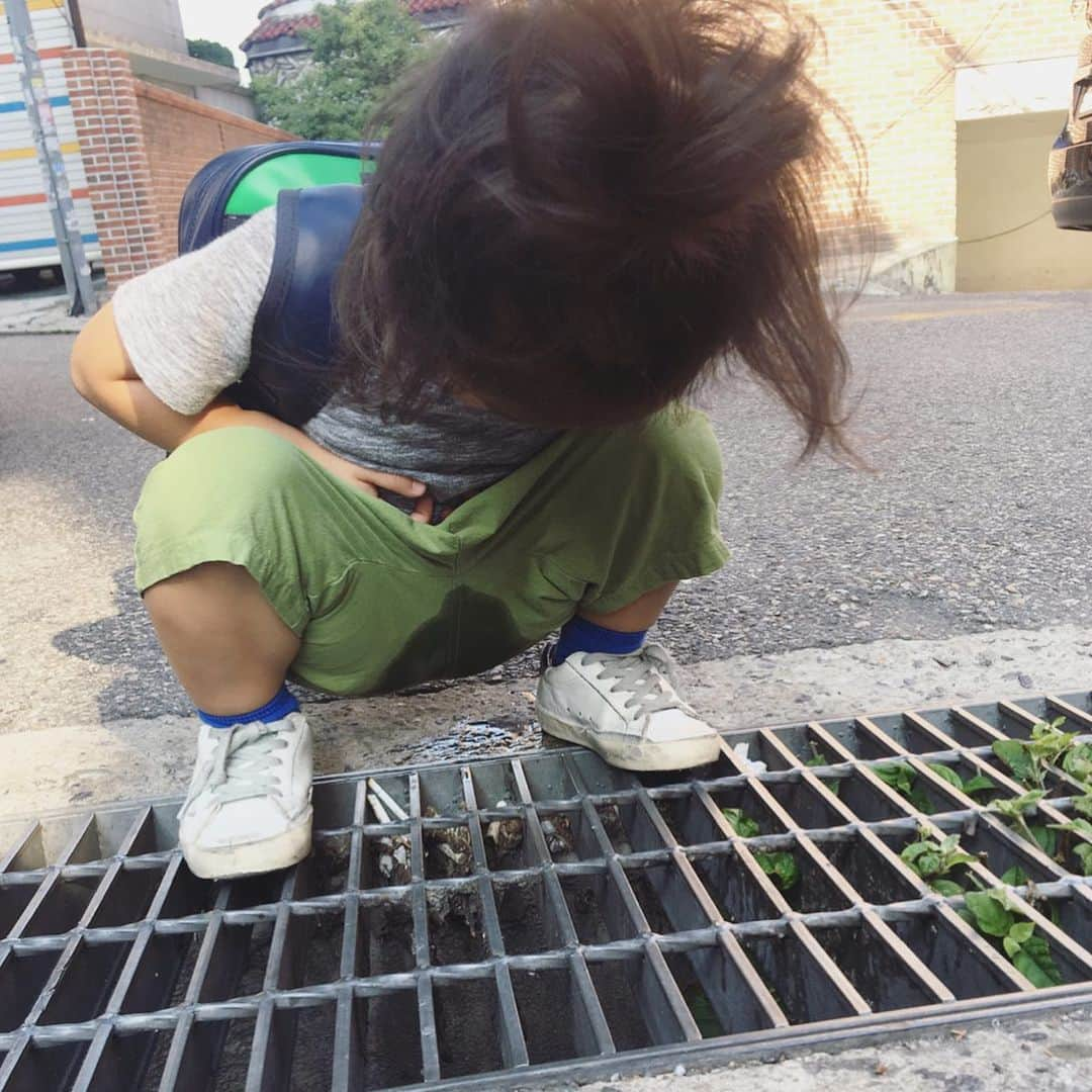 高木りなさんのインスタグラム写真 - (高木りなInstagram)「今日の息子。 保育園の帰り道、排水路を眺めながらおもらし...。 #そこ便器ちゃうで👋🏻 #トイレトレーニング 오늘의 아들. 하원길 배수로 보면서 소변... #거기화장실아니야  #배변훈련 #기저귀떼기 . . #육아기록 #육아일기 #성장기록 #성장일기 #아들맘 #3살 #育児日記 #育児記録 #成長日記 #成長記録 #男の子ママ #男の子 #2歳 #トイトレ」7月1日 22時03分 - rinasvoyage