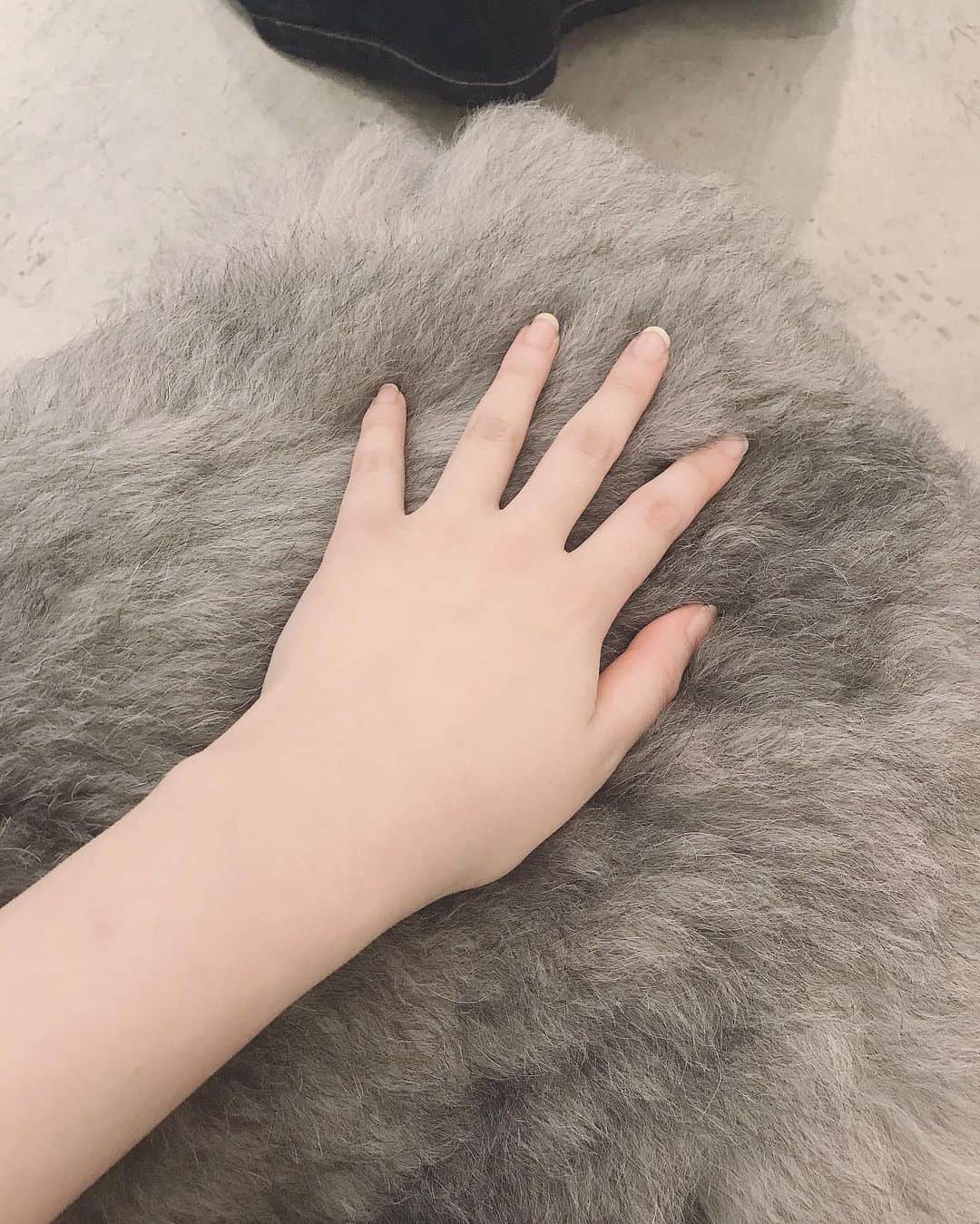 真山朔のインスタグラム：「もふもふ」