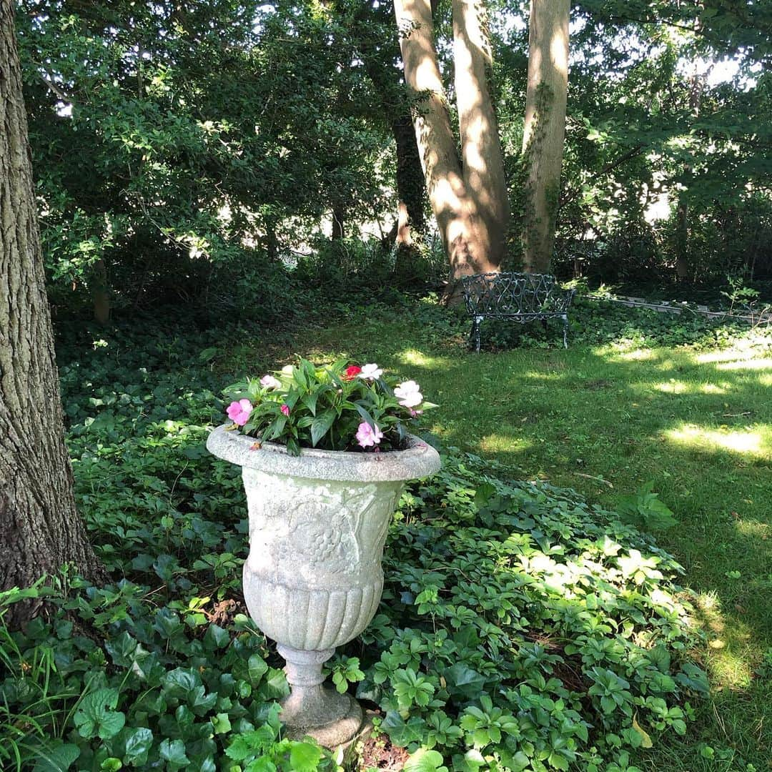 スーザン・ルッチさんのインスタグラム写真 - (スーザン・ルッチInstagram)「My “secret garden”—perfect place to summer read—book or script—or just unwind!  Happy July Monday🥰🥰🥰」7月1日 22時41分 - therealsusanlucci