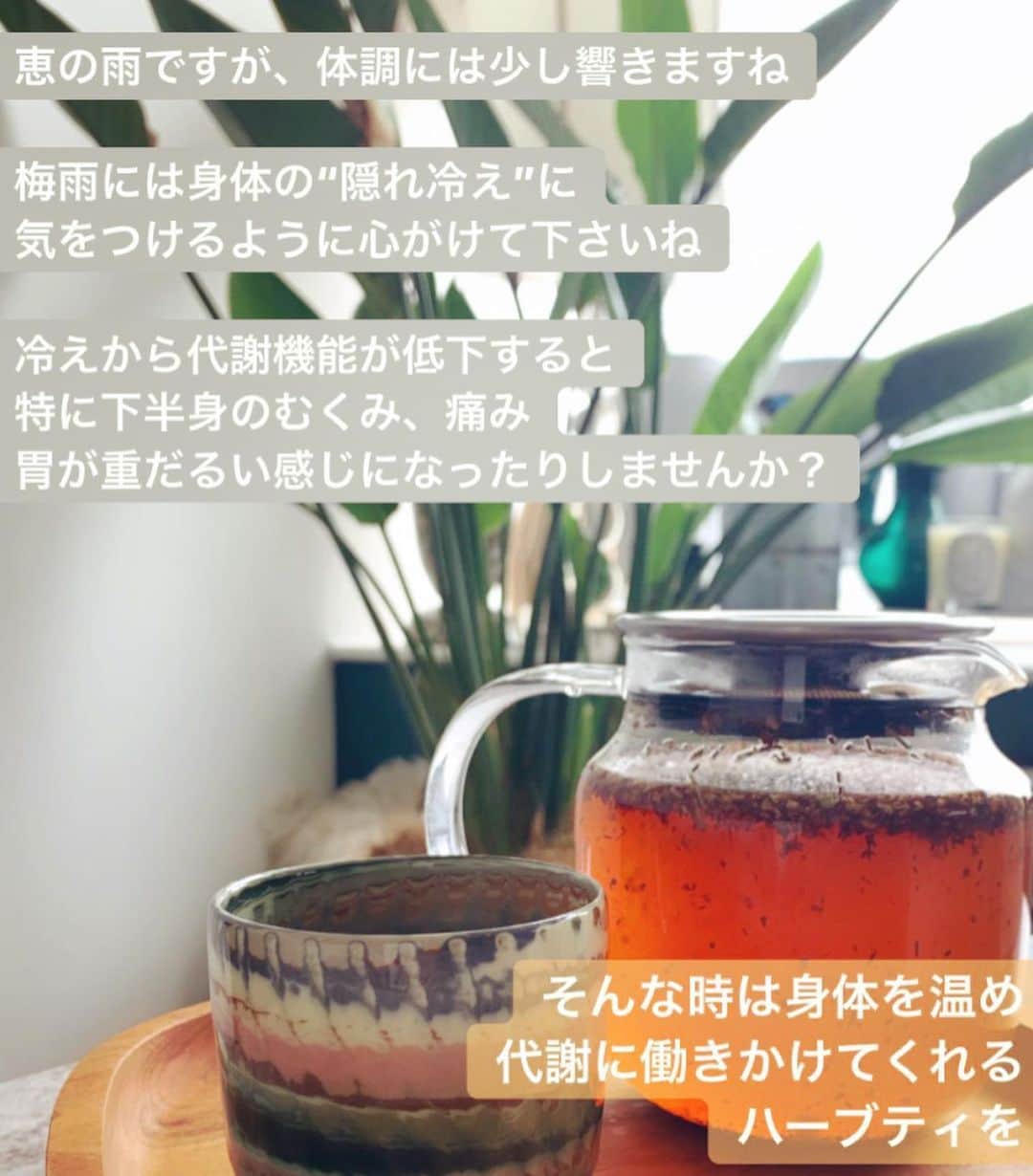 風間ゆみえのインスタグラム：「雨が続きますね☔️ ストーリーにアップした隠れ冷えについて質問を多くいただいたので、こちらに残しますね😊  #梅雨の過ごし方 #ティザンヌ #温めること  #むくみ #痛み #胃腸の不調 #代謝アップ #植物療法 #植物療法士 #フィトトラピー  #フィトセラピスト #ナチュロパシー #sunrise」