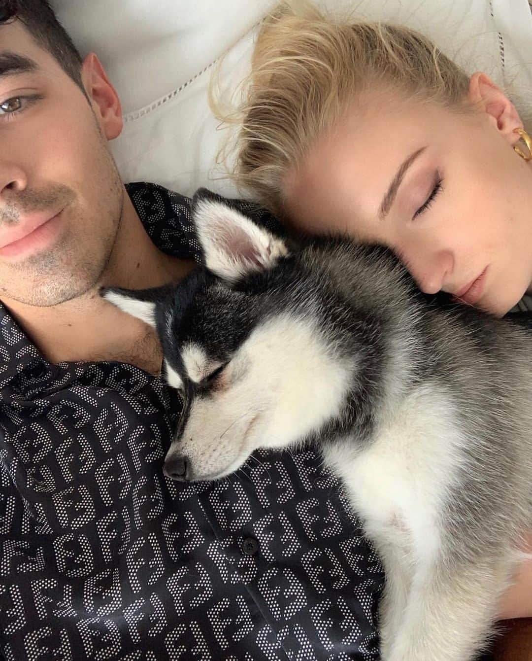 ELLE UKさんのインスタグラム写真 - (ELLE UKInstagram)「Forget @sophiet’s wedding dress, Porky the husky wearing a suit was the real star of the Turner/Jonas ceremony (no, really) 🐕 LINK IN BIO」7月1日 23時10分 - elleuk