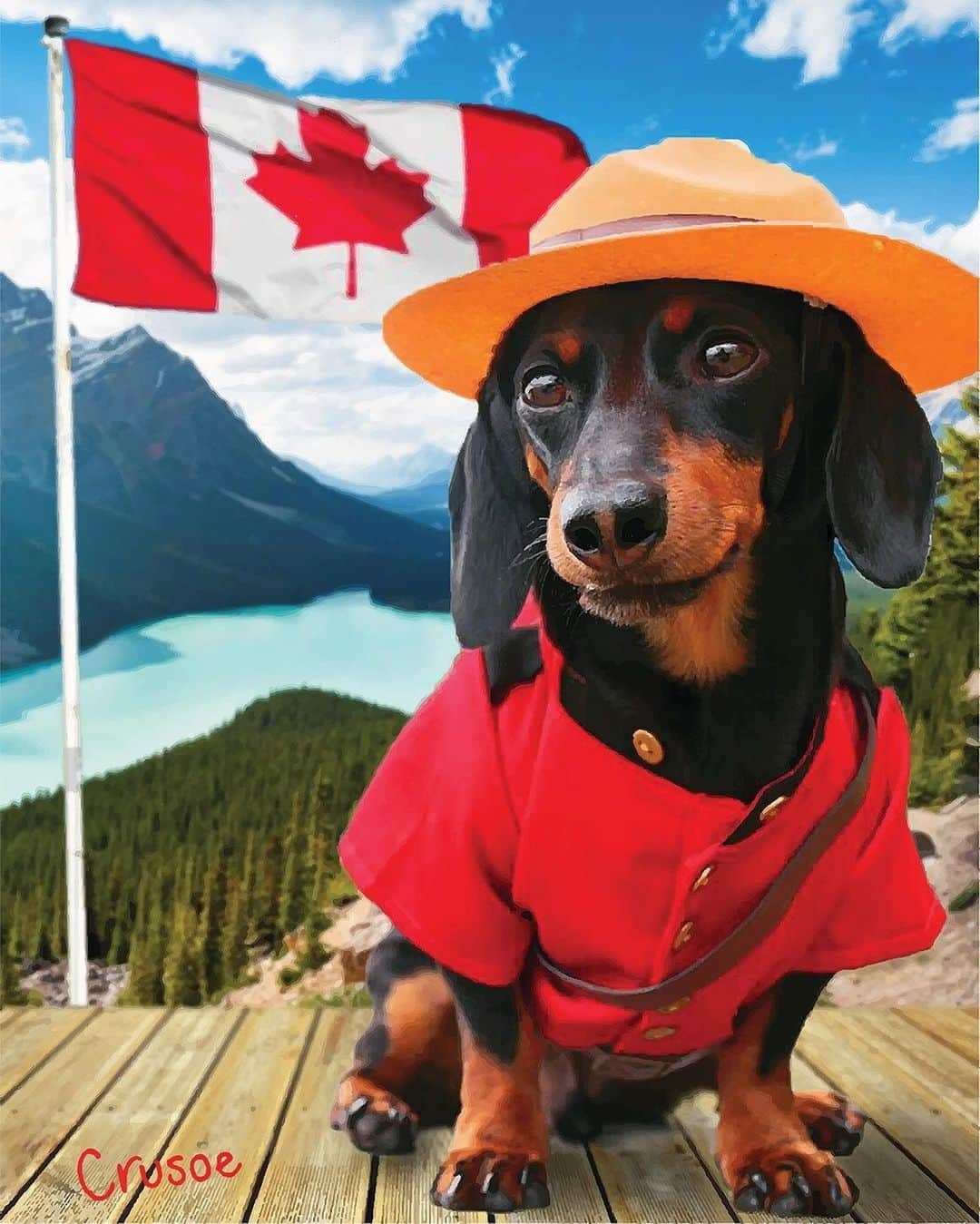 Crusoe the Celebrity Dachshundさんのインスタグラム写真 - (Crusoe the Celebrity DachshundInstagram)「"Wishing all my fellow Canadians a very happy #CanadaDay!" ~ Crusoe」7月1日 23時14分 - crusoe_dachshund