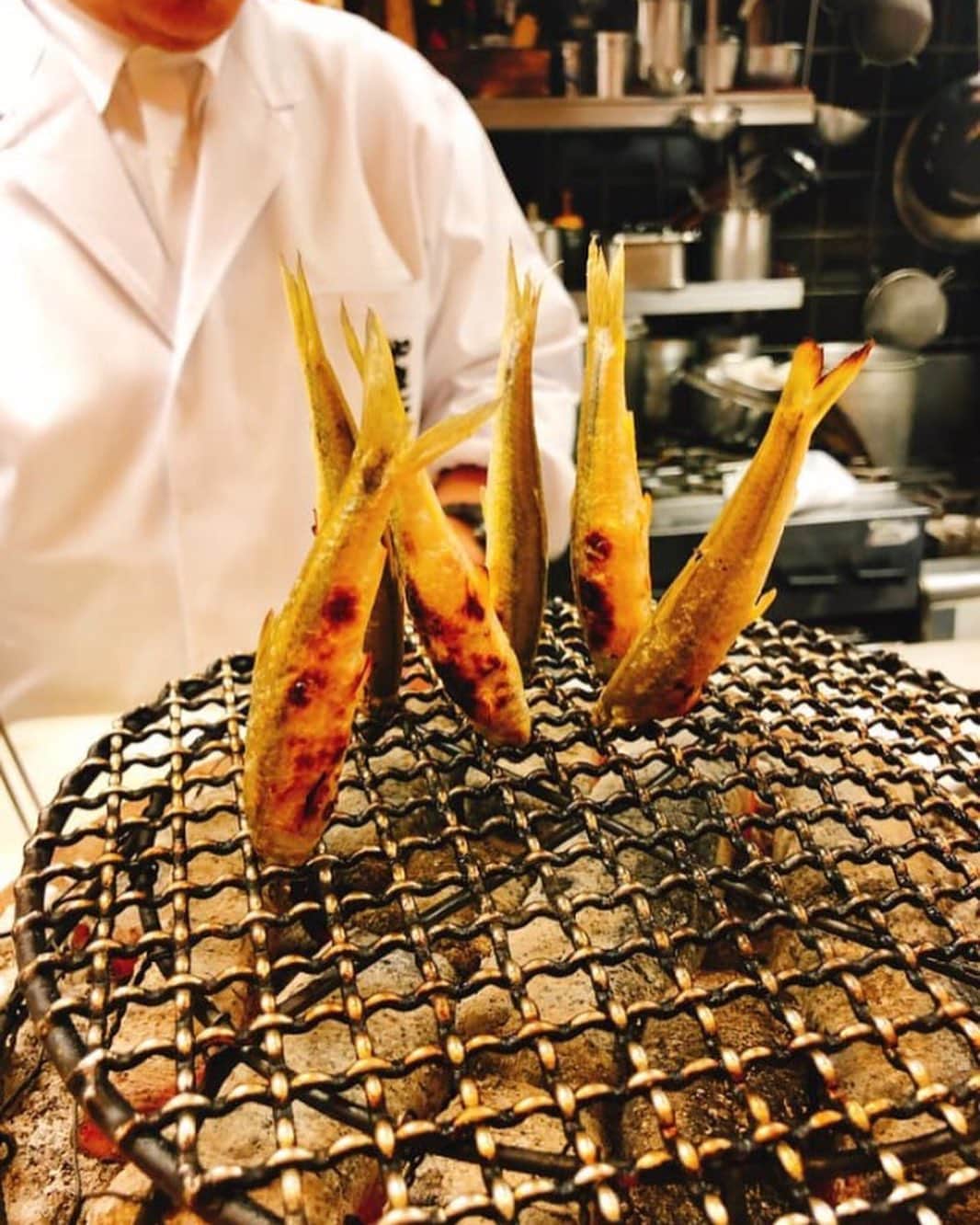 "TERIYAKI" テリヤキ編集部のグルメインスタ