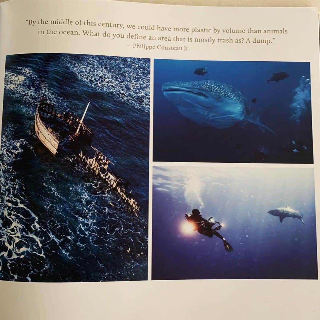 マイケル・ミュラーさんのインスタグラム写真 - (マイケル・ミュラーInstagram)「New issue of @floodmagazine is out. Articles on @alexhonnold @thejeffbridges and a feature with @pcousteau and myself that we talk about ocean issues, VR, family and other things.  Its a diverse issue, go pick up a copy.」7月1日 23時35分 - michaelmuller7