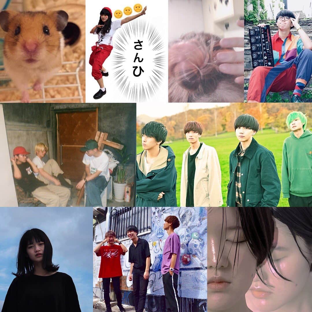 未確認フェスティバルのインスタグラム：「7月14日(日)大阪Music Club JANUS出演アーティスト決定！  Re:name AMI SO-SO mihoro* UMEILO さんひ Camping California 玉名ラーメン Buttercup  ゲストアーティストはマカロニえんぴつ‼️✏️10代ミュージシャンたちとの共演を目撃しにきてほしい！👀✨もちろんライブステージは入場無料！  #未確認 #マイナビ未確認フェスティバル2019 #ライブステージ #マカロニえんぴつ #MusicClubJANUS #夏フェス #音楽 #10代アーティスト#大阪 #osaka #入場無料」