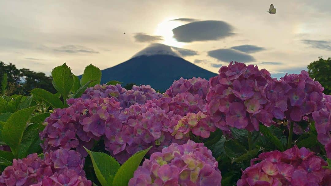 phantastic420のインスタグラム：「. 🤩🤩“Shizuoka” prefecture in Japan is a place where you can see the most “phantastic” Mt. Fuji🗻 in the world.🤩 #富士山 #mtfuji #japan #shizuoka #fujinomiya  #phantastic420photography #mostphantasticmtfuji #selamatpagi  #goodmorning  #おはようございます 😇😇😇😇😇😇😇🗻😇😇 #日本一に会うフォトコン @fujisan_kkb 🦋😍🤩😋 #rwc2019_moment #rwc2019フォトコン #shizuoka  @make_the_moment」
