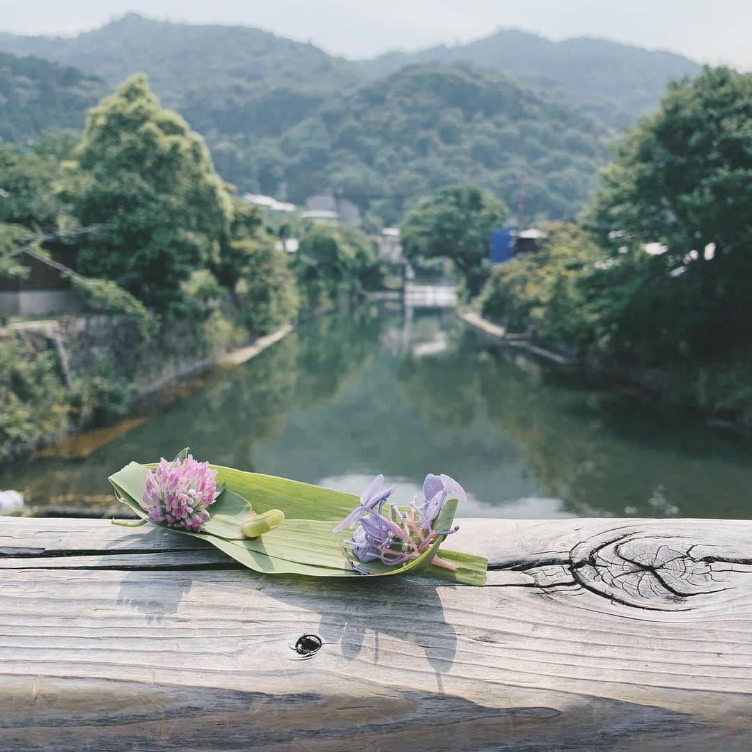 Daniel Waldronさんのインスタグラム写真 - (Daniel WaldronInstagram)「Met a guy fishing off the bridge who made us these bamboo leaf boats. We dropped them in the river and they all landed upright! We’ve got luck on our side now.」7月2日 0時20分 - dew