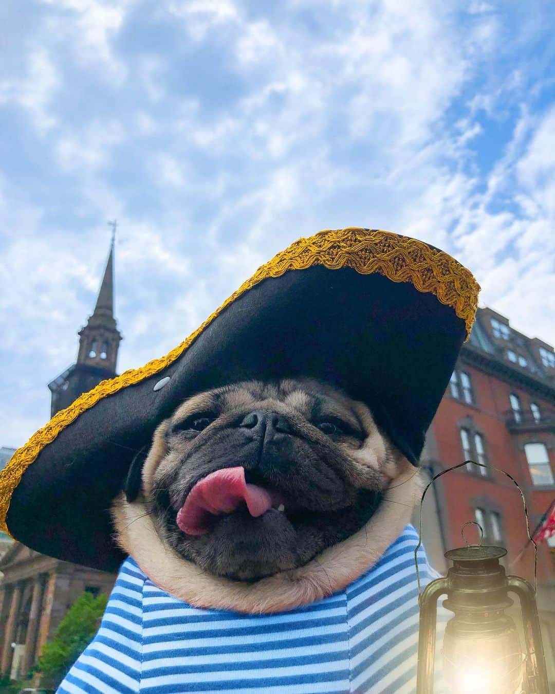 itsdougthepugさんのインスタグラム写真 - (itsdougthepugInstagram)「“The pizzas are coming, the pizzas are coming!” -Doug Revere」7月2日 1時30分 - itsdougthepug