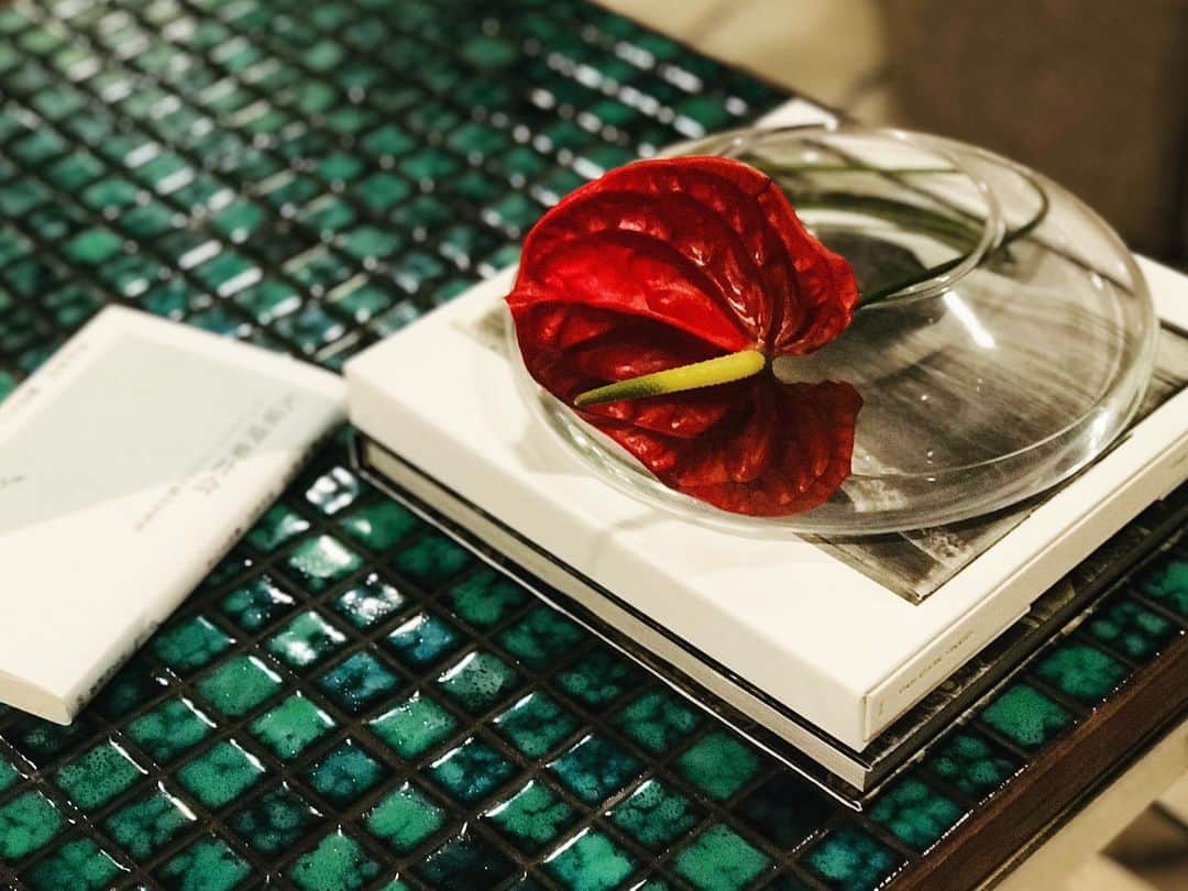 のインスタグラム：「#ykwhome 読書課題 #大量廃棄社会 アパレルとコンビニの不都合な真実」