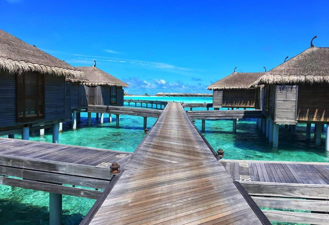 リアム・タンコックさんのインスタグラム写真 - (リアム・タンコックInstagram)「Caitlin and I had the best honeymoon 😍  #Honeymoon #ConstanceMoofushi #Maldives」7月2日 3時59分 - liamtancock