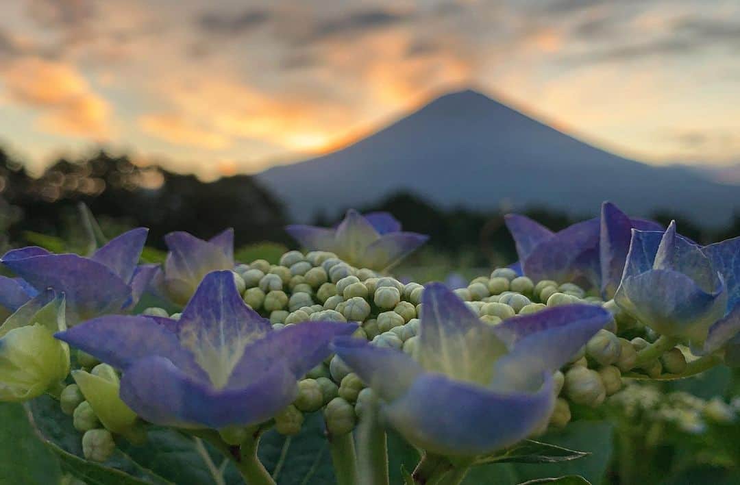 phantastic420のインスタグラム：「. 🤩🤩“Shizuoka” prefecture in Japan is a place where you can see the most “phantastic” Mt. Fuji🗻 in the world.🤩 #富士山 #mtfuji #japan #shizuoka #fujinomiya  #phantastic420photography #mostphantasticmtfuji #selamatpagi  #goodmorning  #おはようございます 😇😇😇😇😇😇😇🗻😇😇 梅雨ですねぇ〜🗻全然見えません🤣 #日本一に会うフォトコン @fujisan_kkb #rwc2019_moment #rwc2019フォトコン #shizuoka  @make_the_moment」