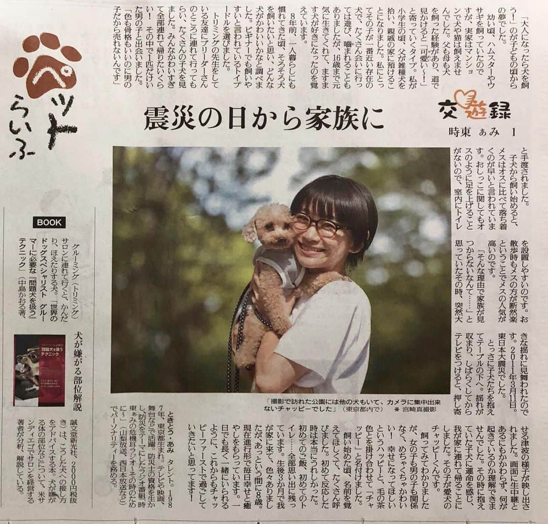 時東ぁみさんのインスタグラム写真 - (時東ぁみInstagram)「愛犬との仕事って幸せすぎる💓🐶 ・ 昨日の読売新聞夕刊にペットコラム書かせていただきました🐶 告知NGだったため言えずでごめんなさい。 ・ あと3回コラムが載ります！ ぜひチェックお願いします！ ・ #時東ぁみ #読売新聞 #夕刊 #コラム #ペットコラム #ペットらいふ #愛犬 #犬 #dog #トイプードル #toypoodle #幸せな仕事 #代々木公園 #yoyogipark #いぬすたぐらむ #犬バカ部 #🐶」7月2日 8時21分 - amitokito