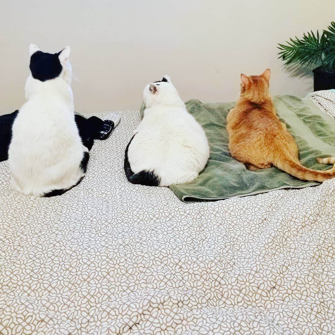 Garyさんのインスタグラム写真 - (GaryInstagram)「Got home today and these three are doing the Blair Witch on the bedroom wall #jeguschristgare #somebodydosomething」7月2日 9時47分 - omgdeedee