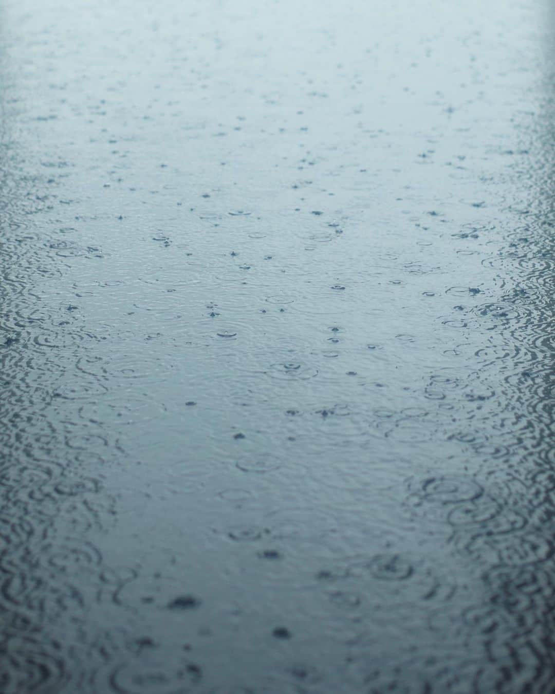 三浦大知さんのインスタグラム写真 - (三浦大知Instagram)「#雨 #皆さん足元には気をつけてくださいね」7月2日 10時04分 - daichimiura824