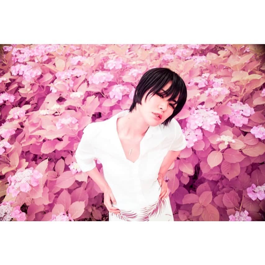 峰のりえさんのインスタグラム写真 - (峰のりえInstagram)「Another colorシリーズ☆ 緑の葉っぱがピンクになる🤩  #赤外写真 #異世界 #ファンタジー #fantasy」7月2日 10時11分 - minenorie0428
