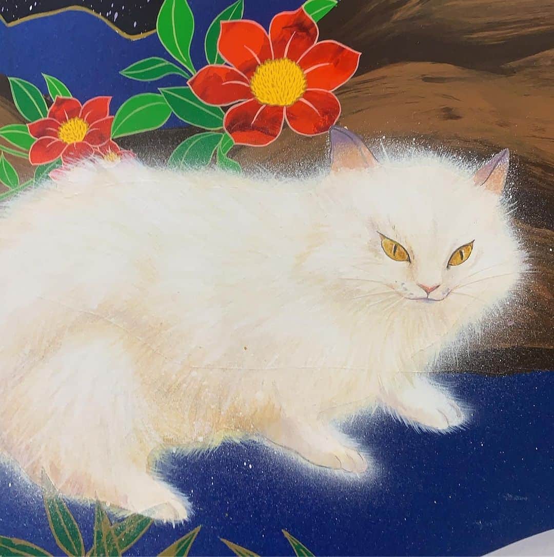 松山智一のインスタグラム：「🖼 🐱 🍖 💪 I’m about to create fancy art」