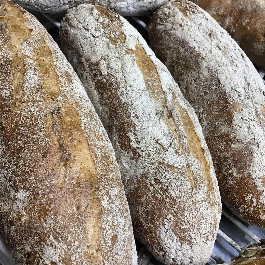 魔女菅原のグルメインスタ