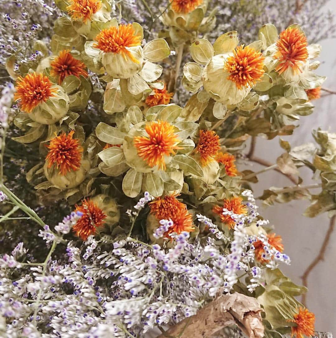 Decadence du Chocolatのグルメインスタ