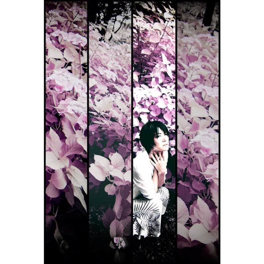 峰のりえさんのインスタグラム写真 - (峰のりえInstagram)「#赤外写真 #異世界 #ファンタジー #fantasy」7月2日 11時06分 - minenorie0428