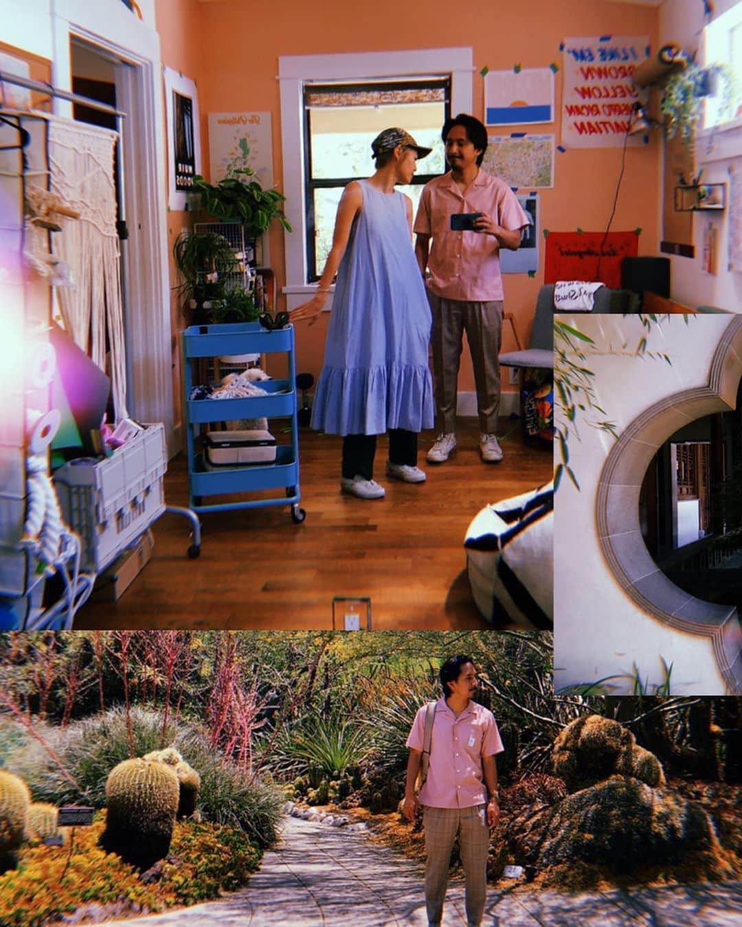 のインスタグラム：「🍃🌵🌿」